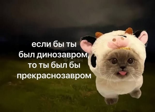 Скрины из соцсетей