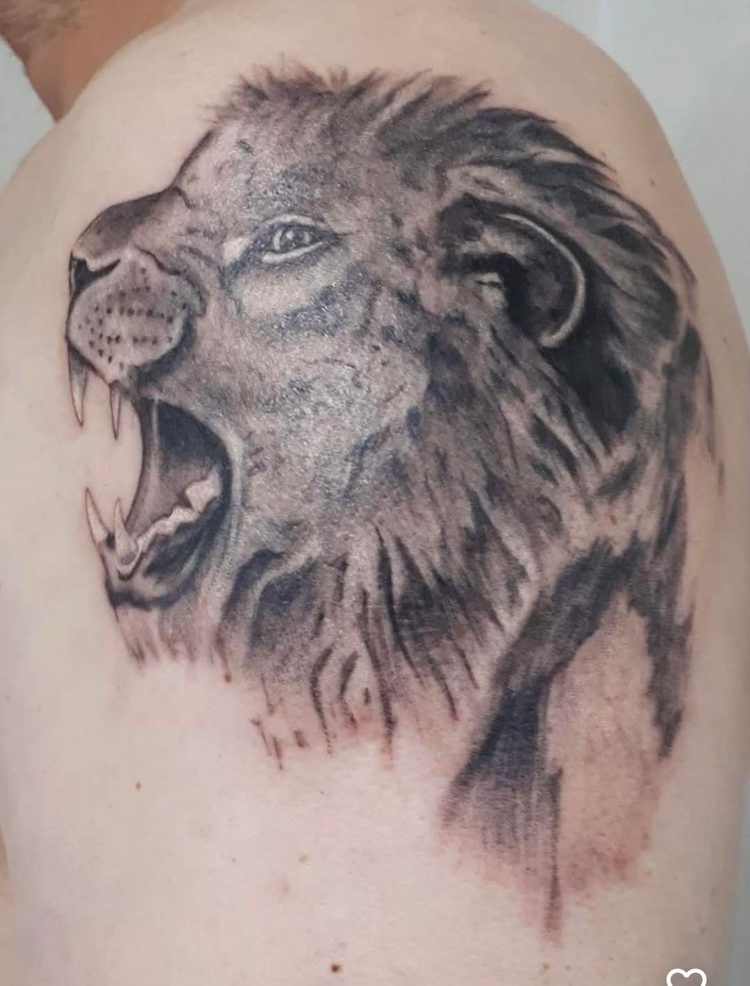 13. Он рычит, зевает или просит помощи?