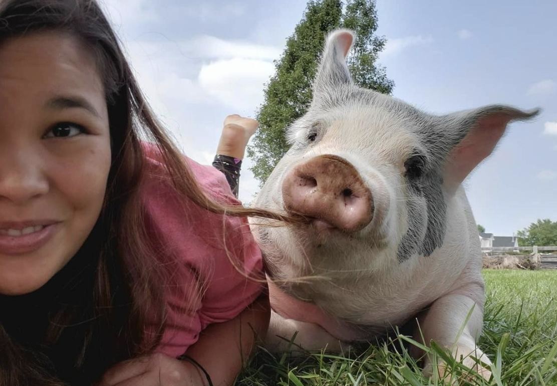 12. Идеальное совпадение