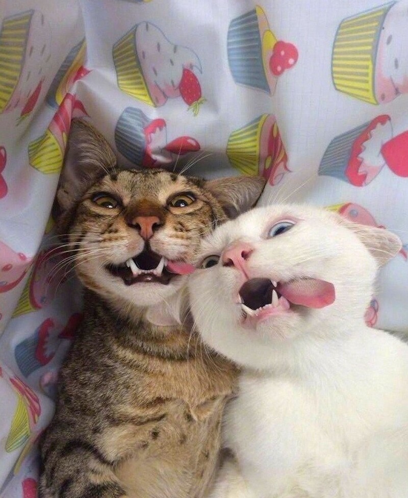 22. Идеальный момент