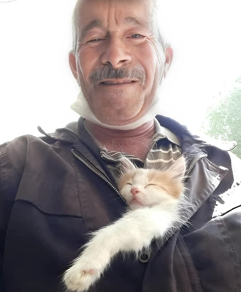 14. Это замурчательно
