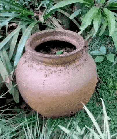 Солянка от 13.02.2026