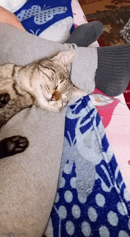 Просто гифки, всякие и&nbsp;разные