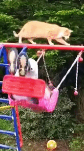 Просто гифки, всякие и&nbsp;разные