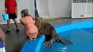 Просто гифки, всякие и&nbsp;разные