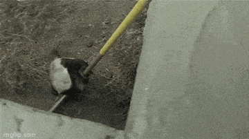 Просто гифки, всякие и&nbsp;разные