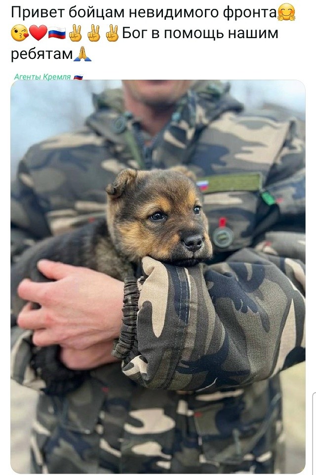 Политическая рубрика от&nbsp;NAZARETH за&nbsp;14.02.26. Новости, события, комментарии - 2011