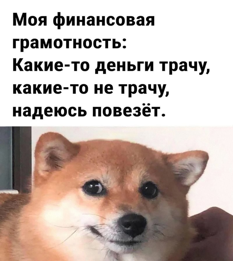 Бедность в крови или почему гены депрессии мешают нам копить деньги
