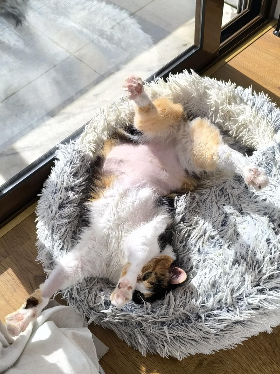 13. Спорт - это прям моё