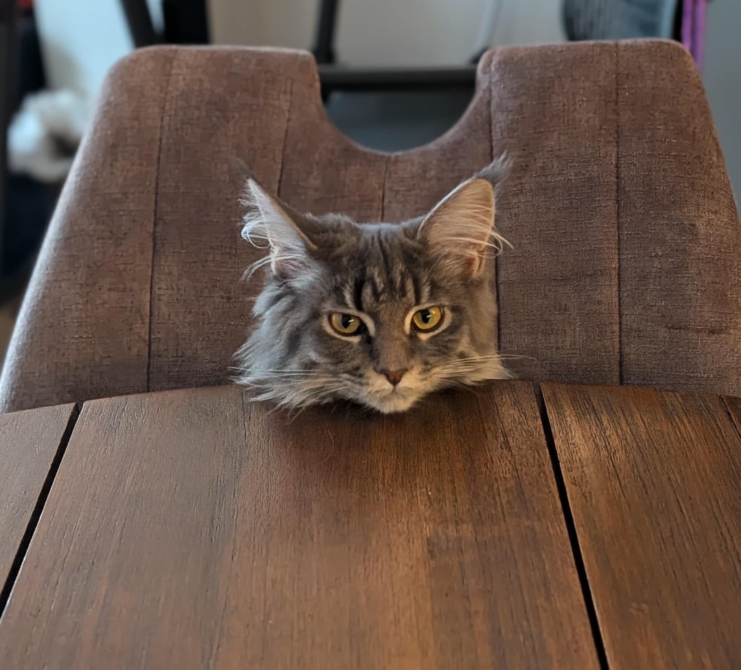 8. У меня к тебе серьёзный разговор