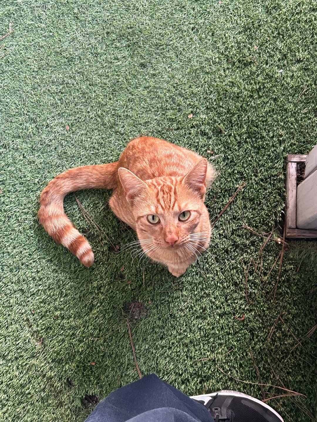 6. Нет времени объяснять, срочно возьми меня на ручки!