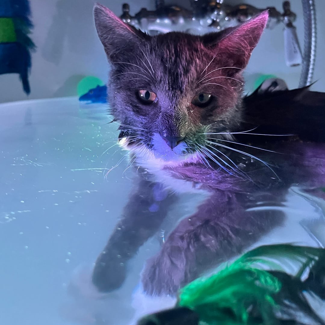 4. Морские приключения