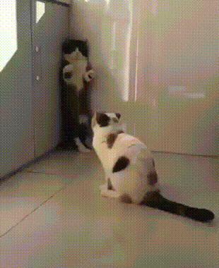 Просто гифки, всякие и&nbsp;разные