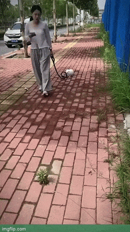 Просто гифки, всякие и&nbsp;разные