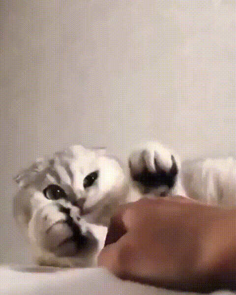 Просто гифки, всякие и&nbsp;разные