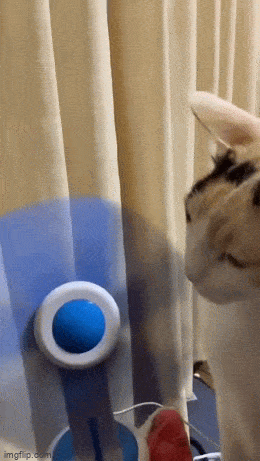 Просто гифки, всякие и&nbsp;разные