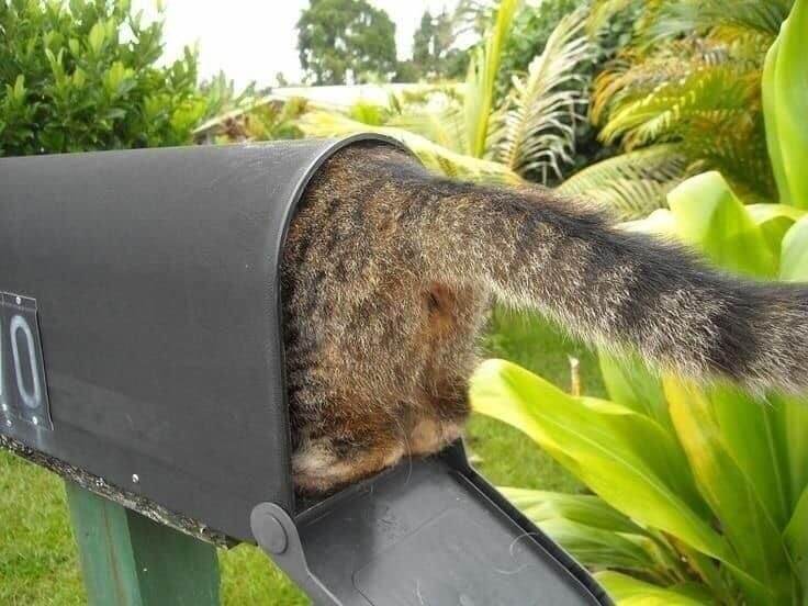 Вам бандеролька!