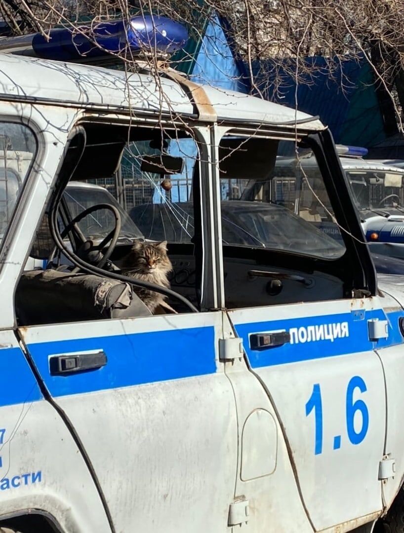 Задержан опасный преступник!