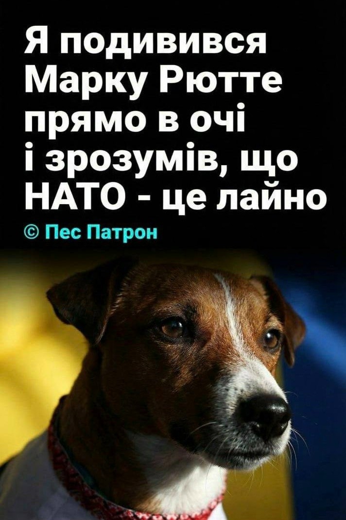 Политическая рубрика от&nbsp;NAZARETH за&nbsp;16.02.26. Новости, события, комментарии - 2013