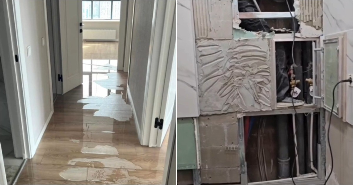 Рум-тур по квартире с плесенью, протечками и повреждённым полом