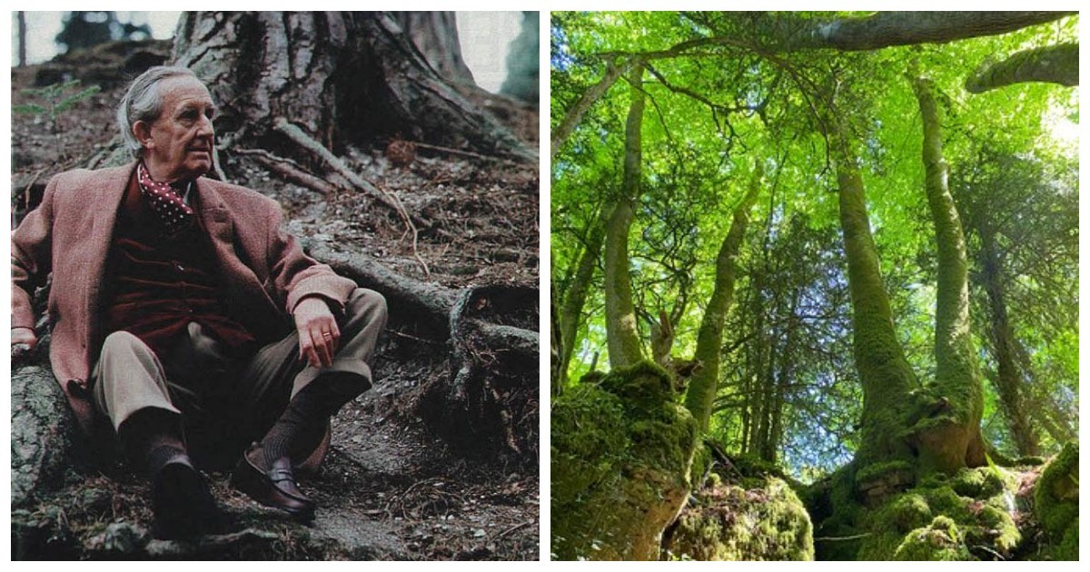 Пазлвуд – лес, который мог вдохновить Толкина на создание Средиземья