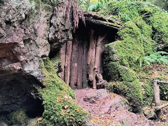 Пазлвуд – лес, который мог вдохновить Толкина на создание Средиземья