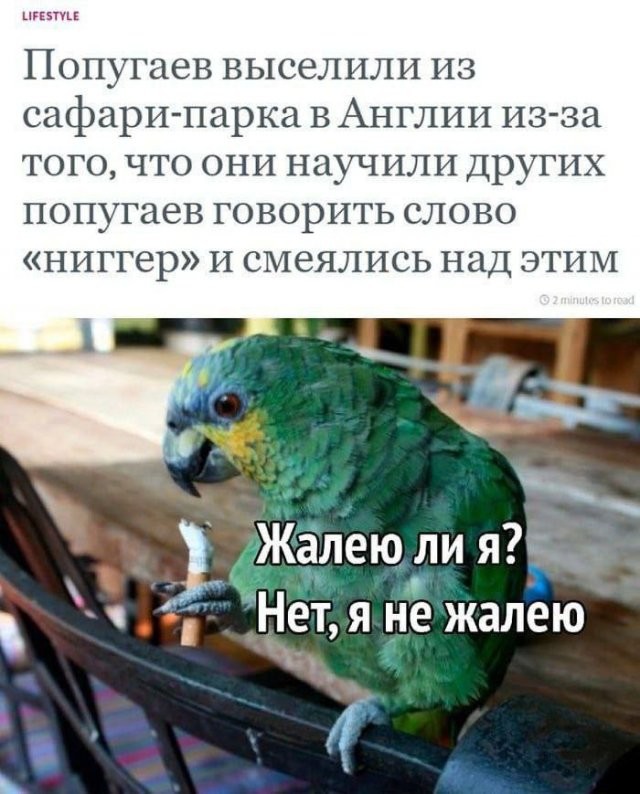 Скрины из соцсетей