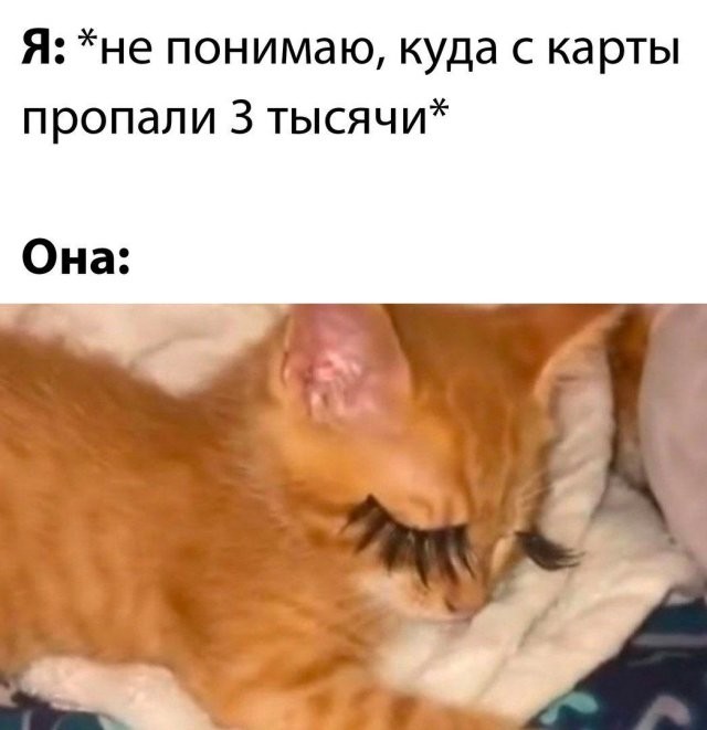 Скрины из соцсетей