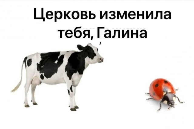 Скрины из соцсетей