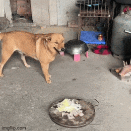 Просто гифки, всякие и&nbsp;разные