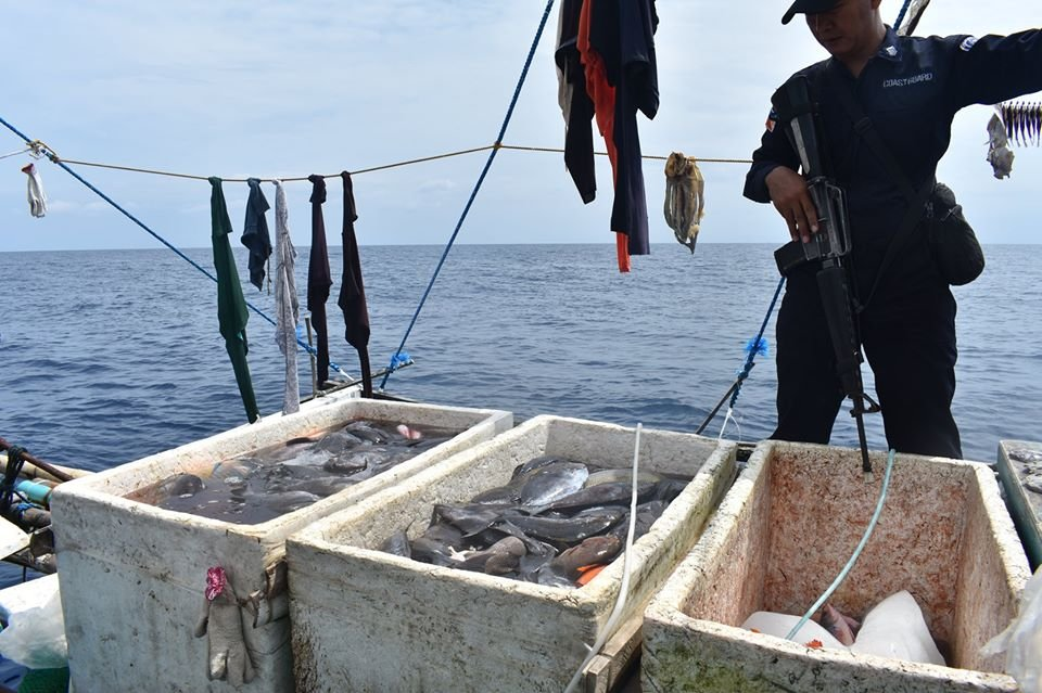 Цианидная рыбалка: самый бесчеловечный способ рыбной ловли