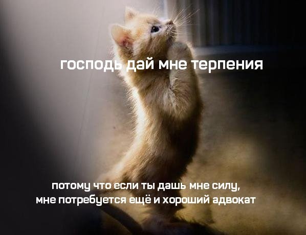 Скрины из соцсетей