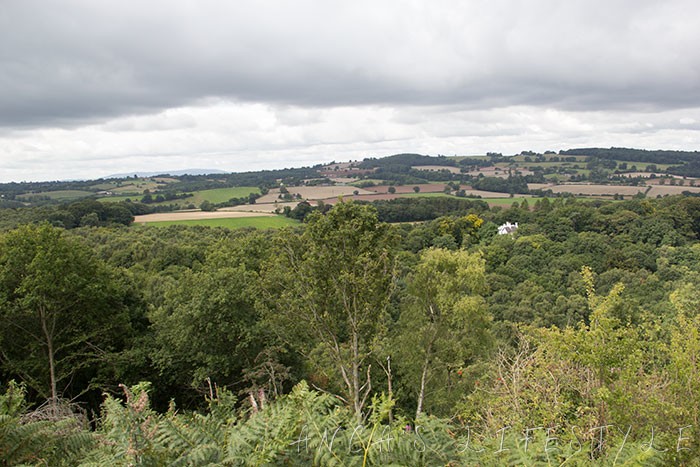 Пещерные люди, которые вдохновили Толкина написать «Хоббита»