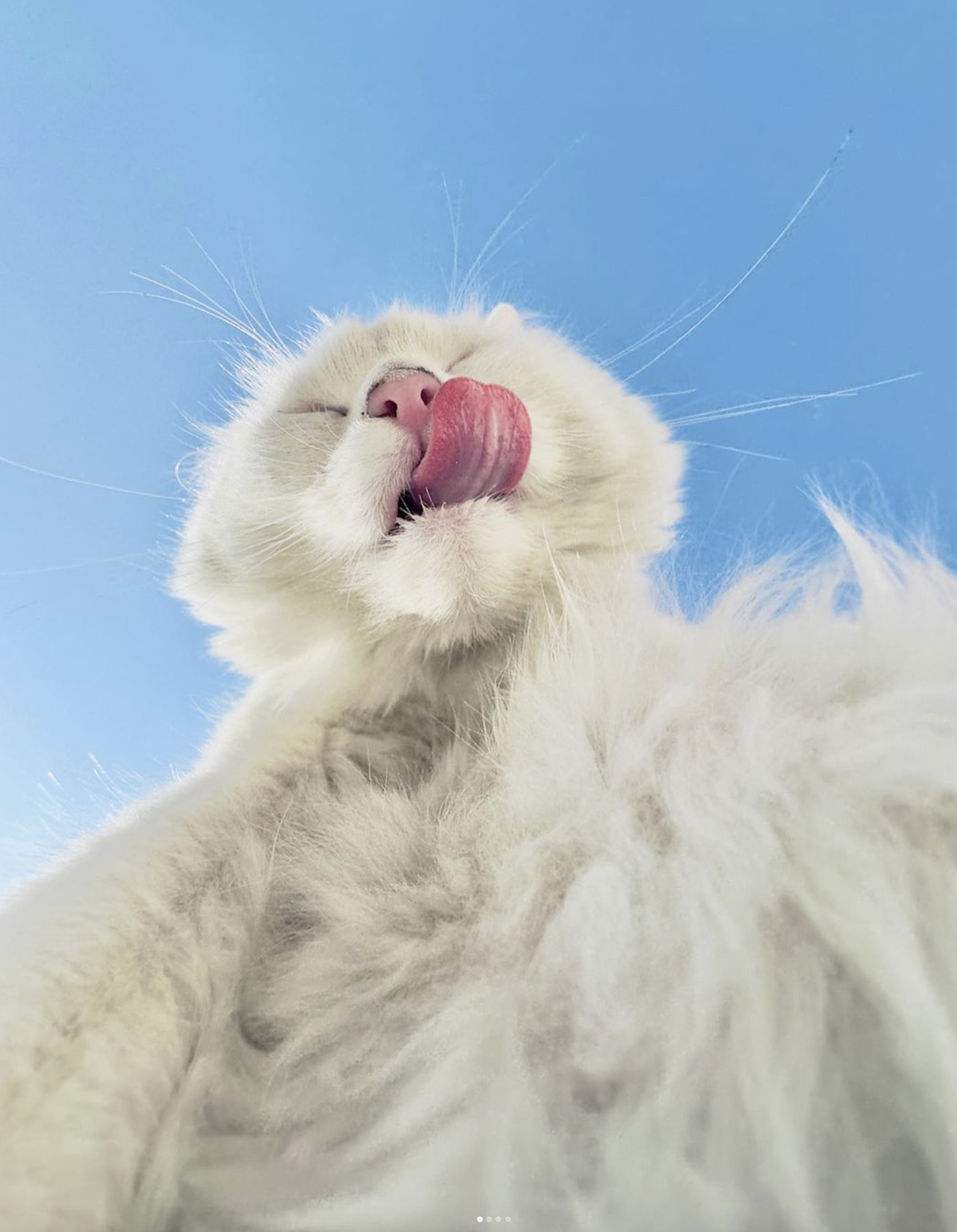 17. Вкус жизни