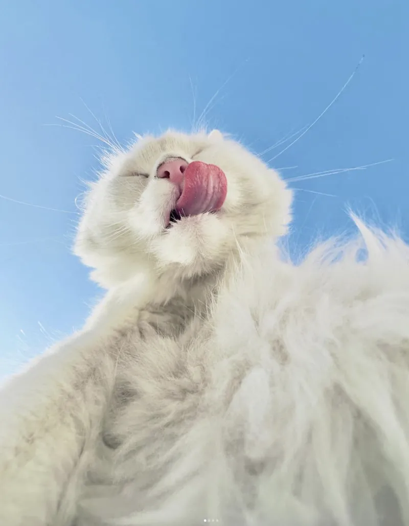 17. Вкус жизни