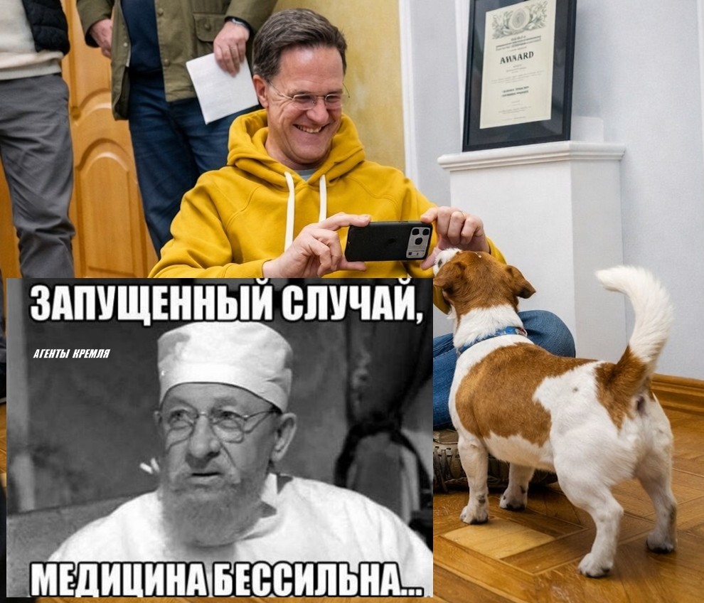 "Я посмотрел псу Патрону в глаза, и он мне сказал, что мы никогда не сдадимся", – генсек НАТО Рютте. Теперь пусть развернёт собаку и посмотрит в своё будущее