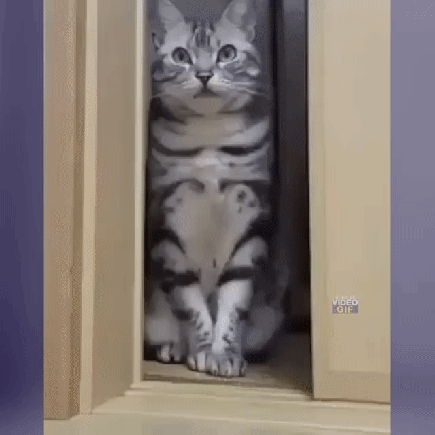 Просто гифки, всякие и&nbsp;разные