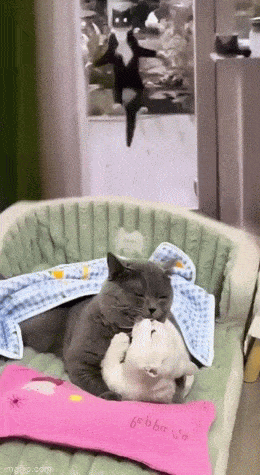 Просто гифки, всякие и&nbsp;разные