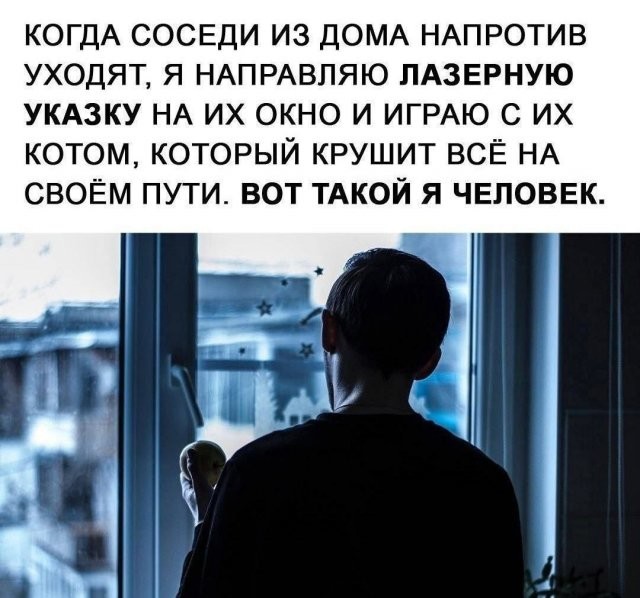 Скрины из соцсетей