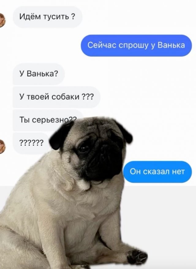 Скрины из соцсетей