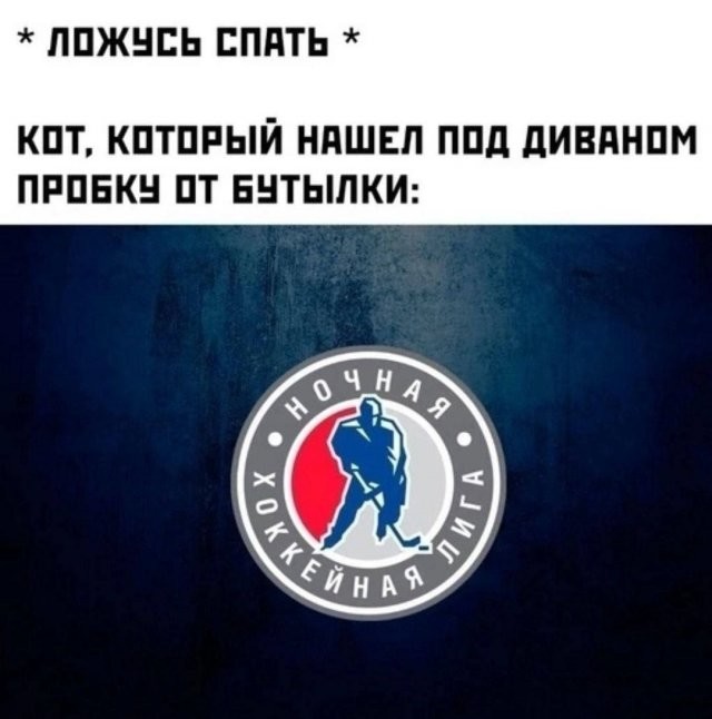 Скрины из соцсетей