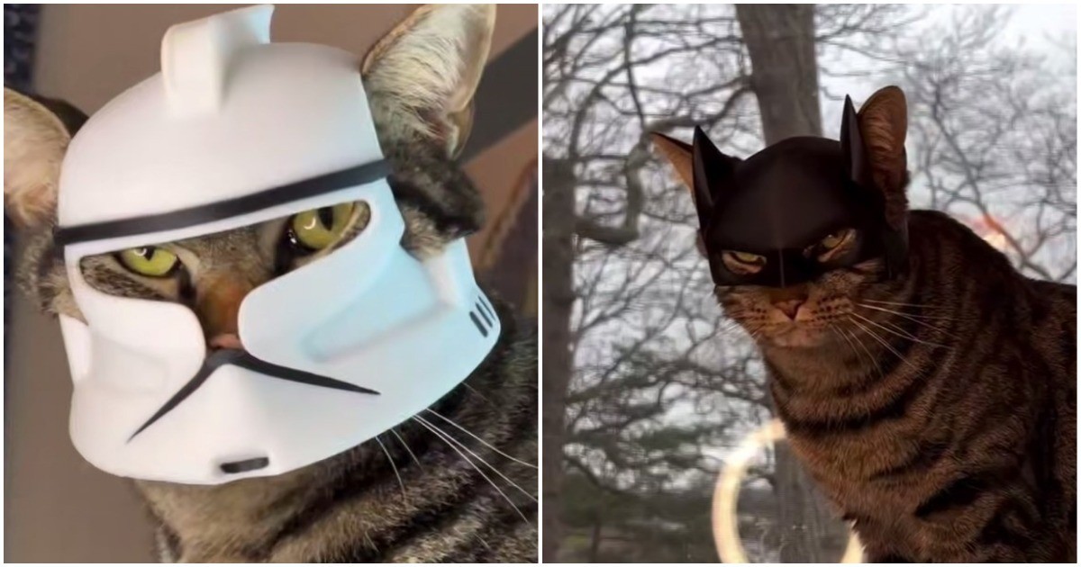 Парень печатает головные уборы для своего кота