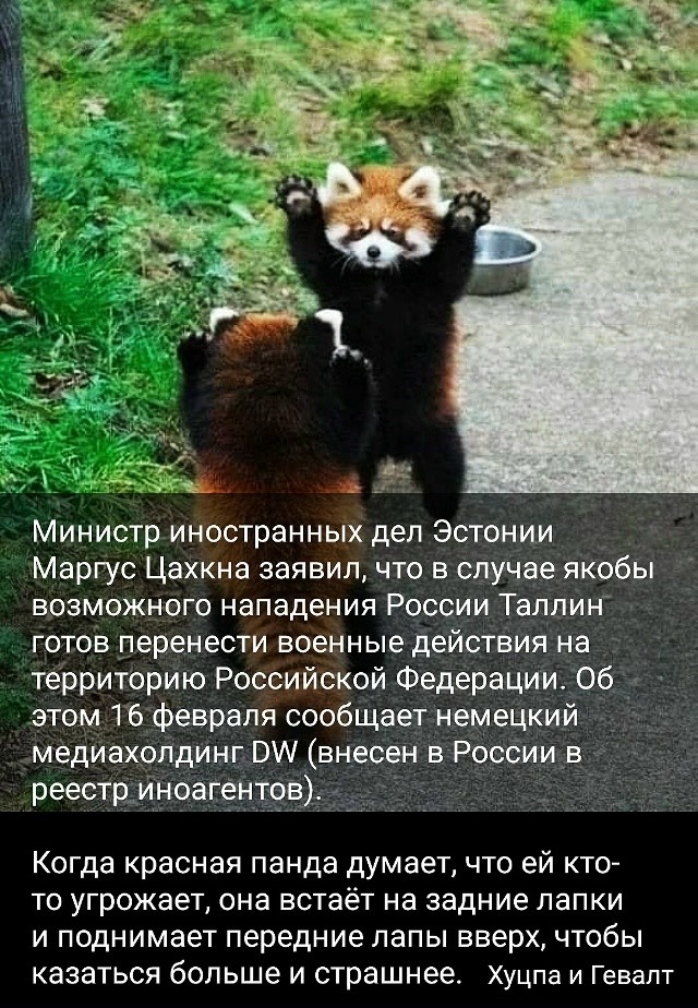 Политическая рубрика от&nbsp;NAZARETH за&nbsp;18.02.26. Новости, события, комментарии - 2016