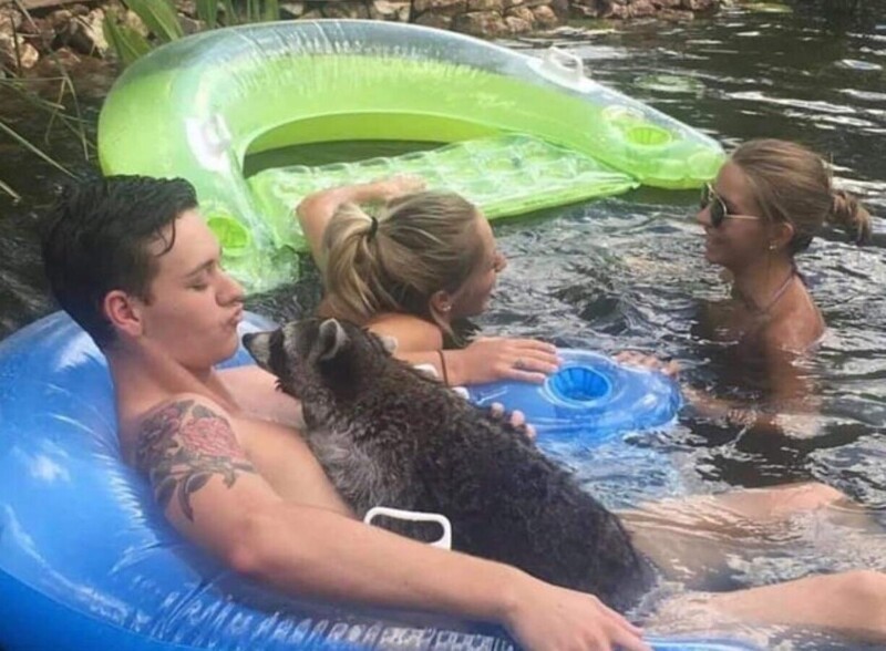 13. Каждому из нас нужен друг