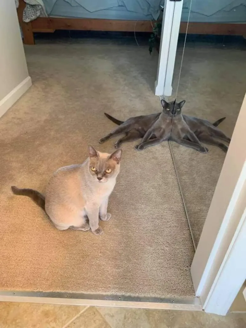 14. Пришельцы среди нас