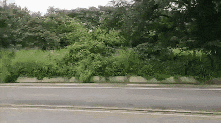 Просто гифки, всякие и&nbsp;разные