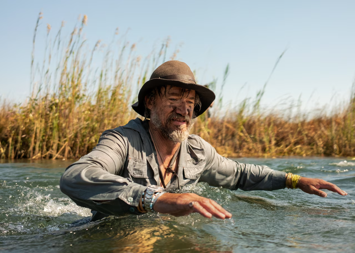 Слоны-призраки: белоснежные, странные и очень редкие