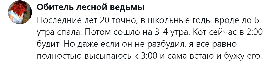 9. Смена биологических ритмов и кот