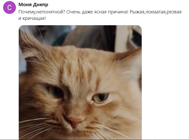 7. Такая причина есть у многих