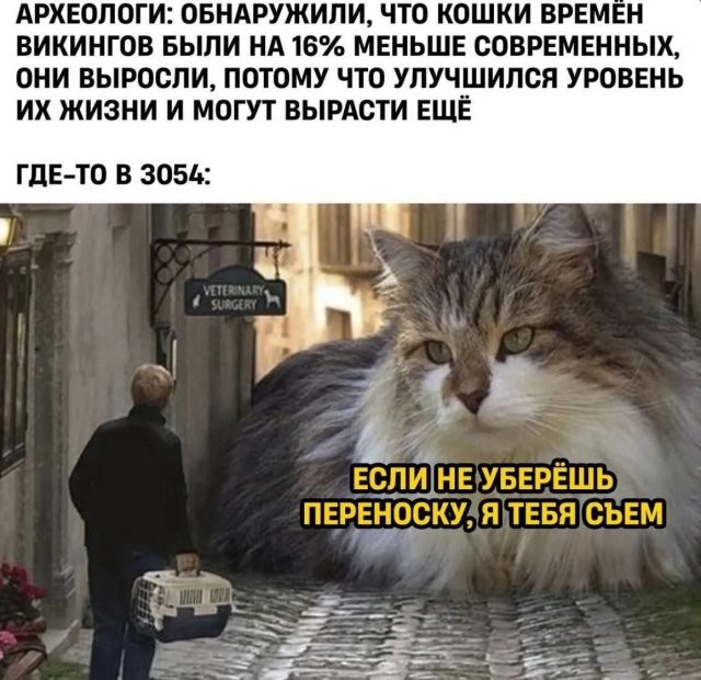 Скрины из соцсетей